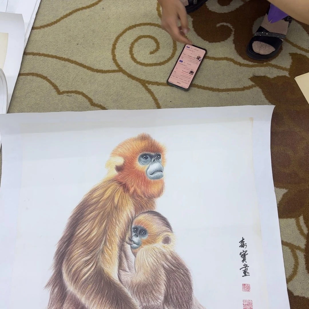 国画呵***哈徐森宝李欣主播
