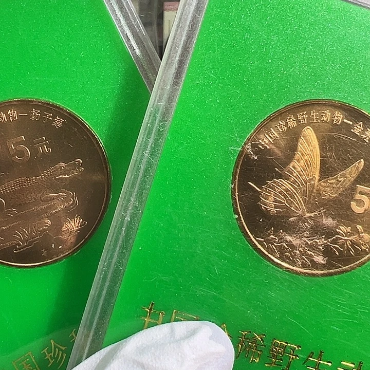 其他普通金属鳄，蝶一对