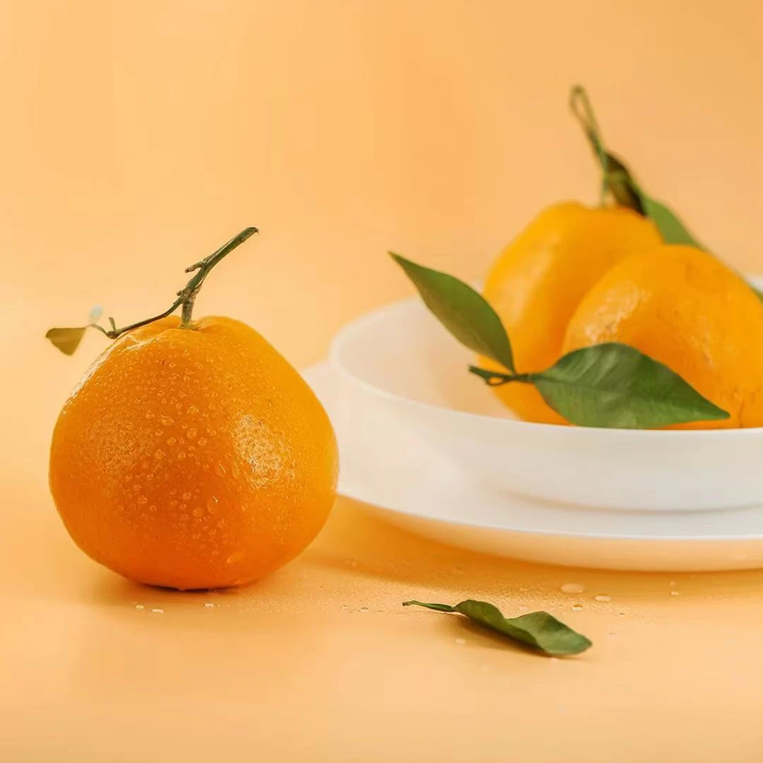 【东北可发】四川春见耙耙柑新采摘大果净果4斤 顺丰包邮次日达