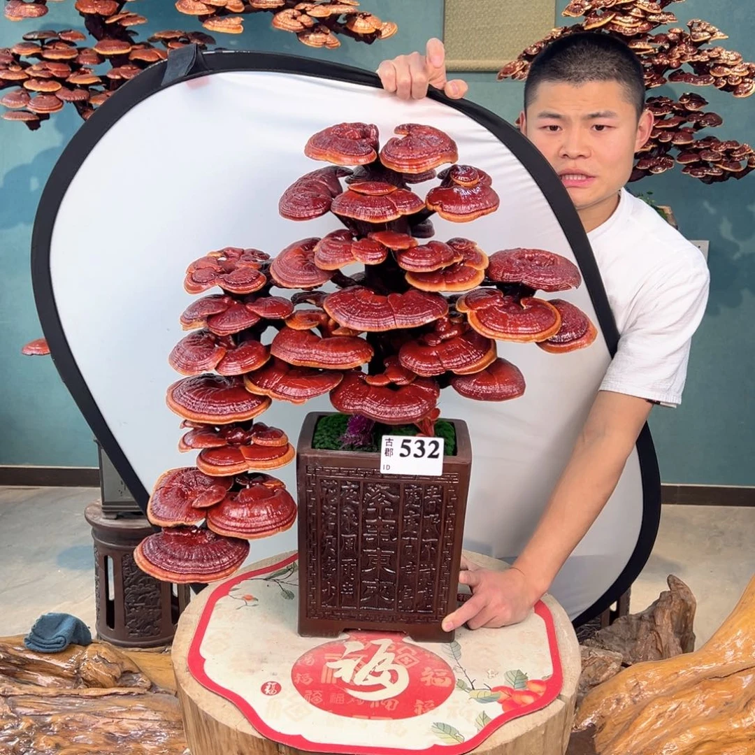 无花朵888888888889