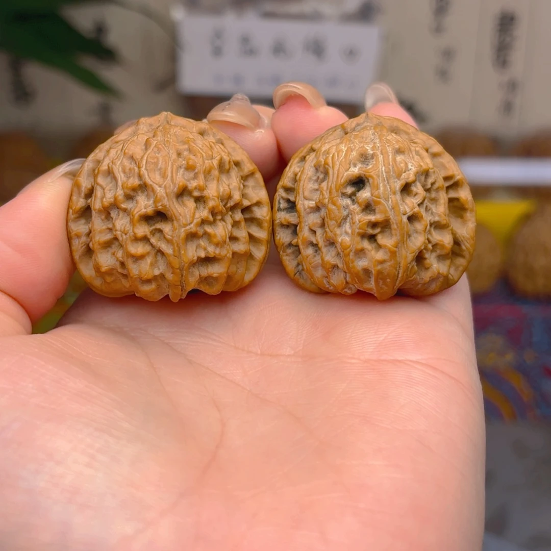 小****白狮子头三十六尺