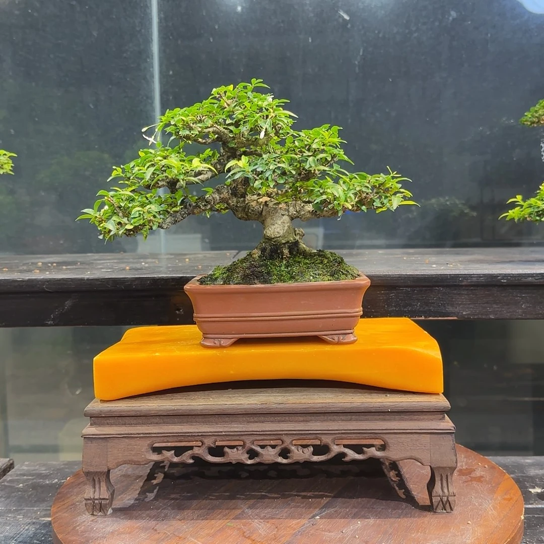 观***?111111111111111111