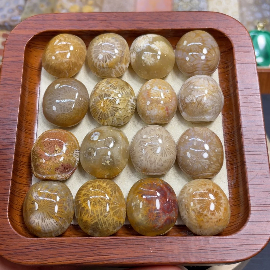 硅化玉未镶嵌颈饰富甲20米1个