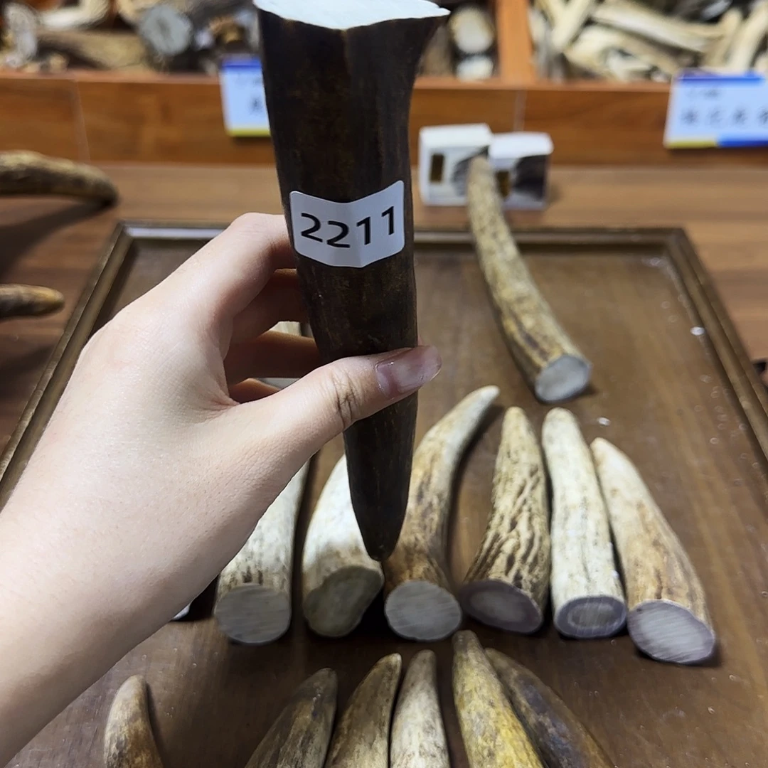 手串/手链鹿骨角尖2211