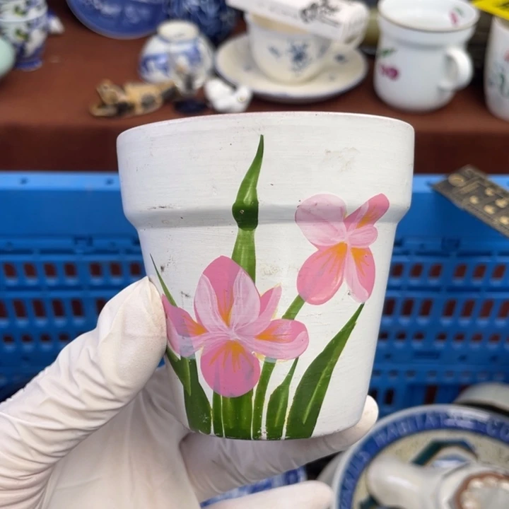 他家瓷器真美…开播了