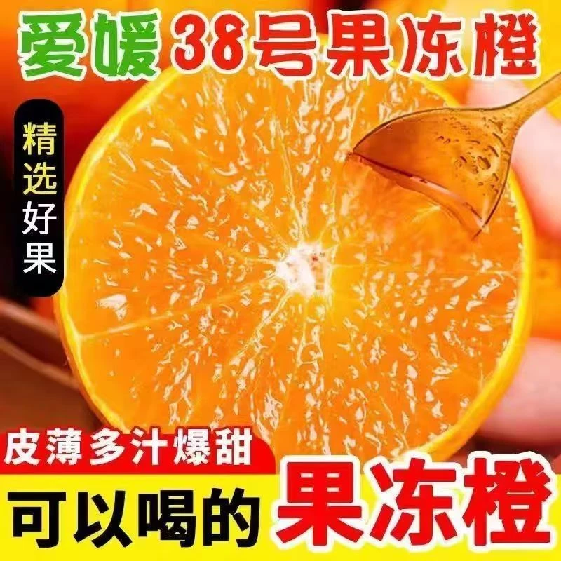 四川爱媛38号果冻橙新鲜现摘皮薄肉厚鲜嫩多汁果园直发坏果包赔