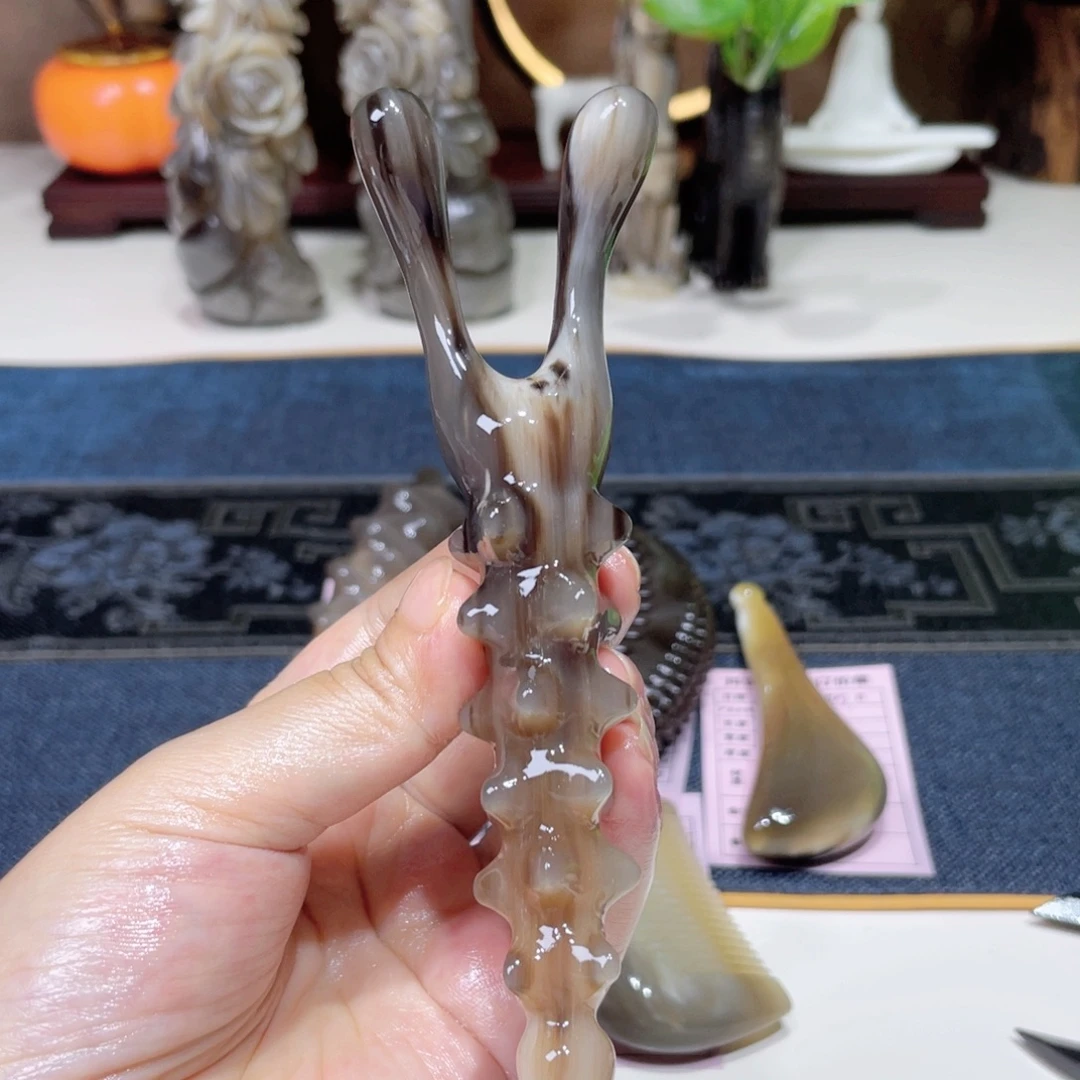 白水黑金刚海参美鼻器
