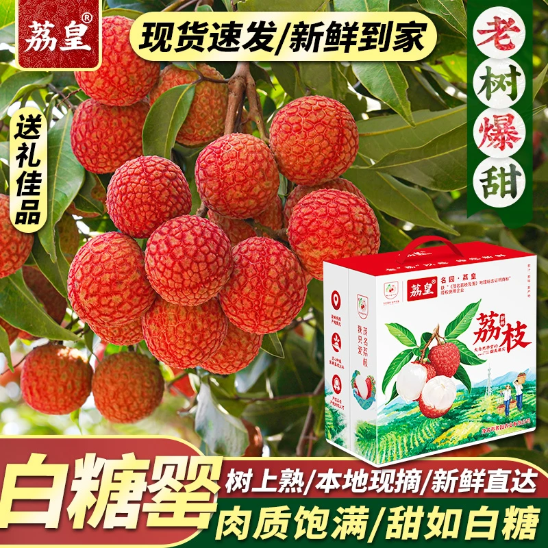 【阳书记专属】白糖罂荔枝广东茂名高州新鲜现摘端午送礼水果礼盒装