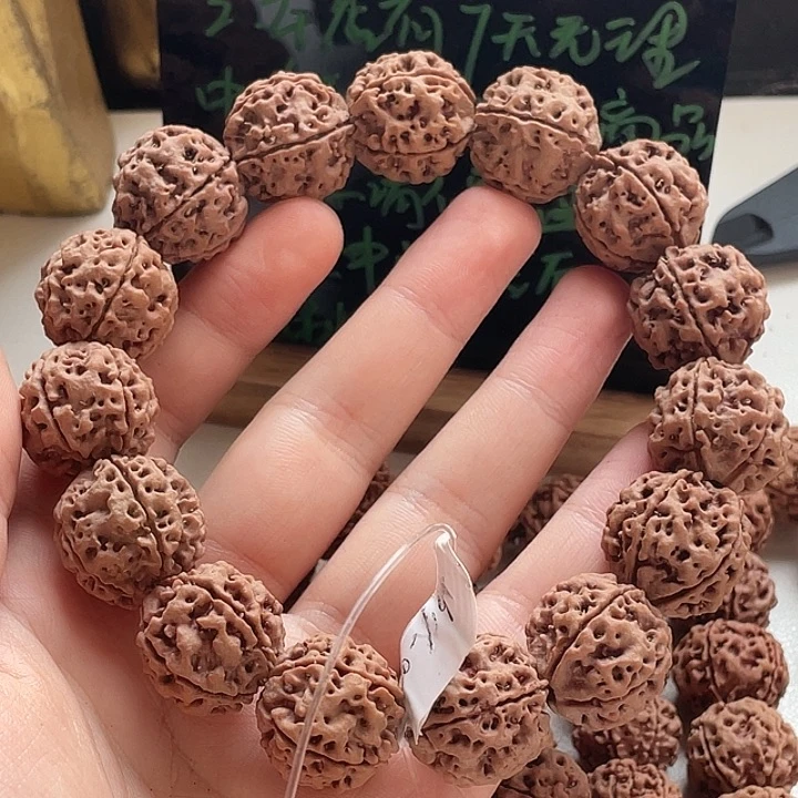 刘***哥手串金刚菩提古龙铁籽20头货