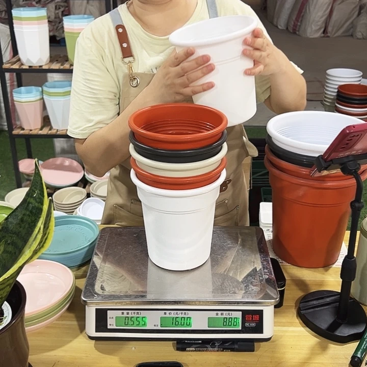 翻边盆口16高17混色无托6只