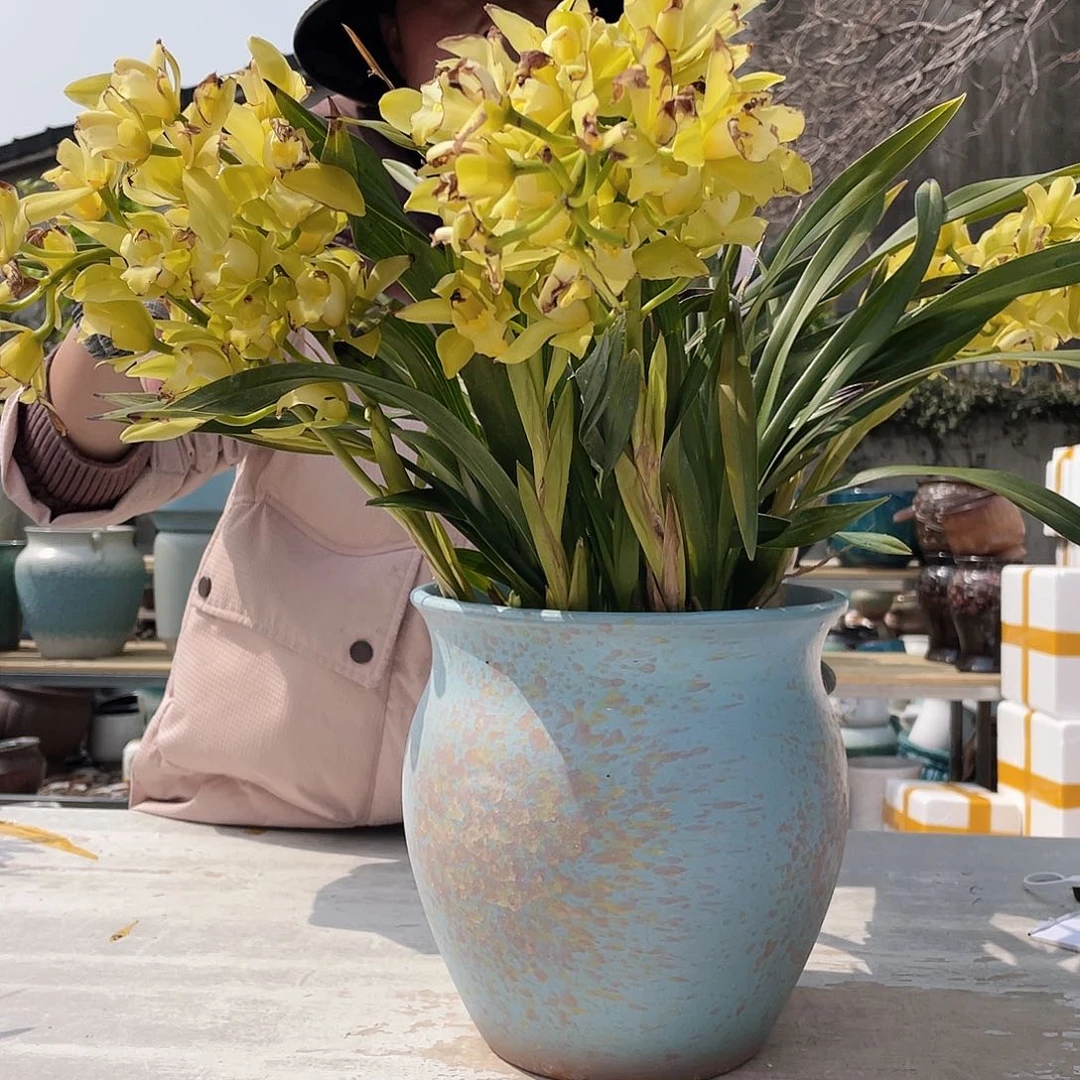 紫砂花盆王嫂花盆直播0309-五大蓝