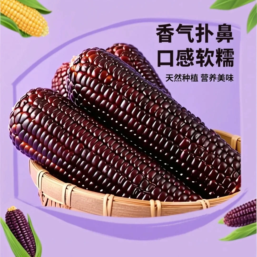 新鲜富硒黑甜糯玉米整箱批发软糯香甜玉米代餐正食
