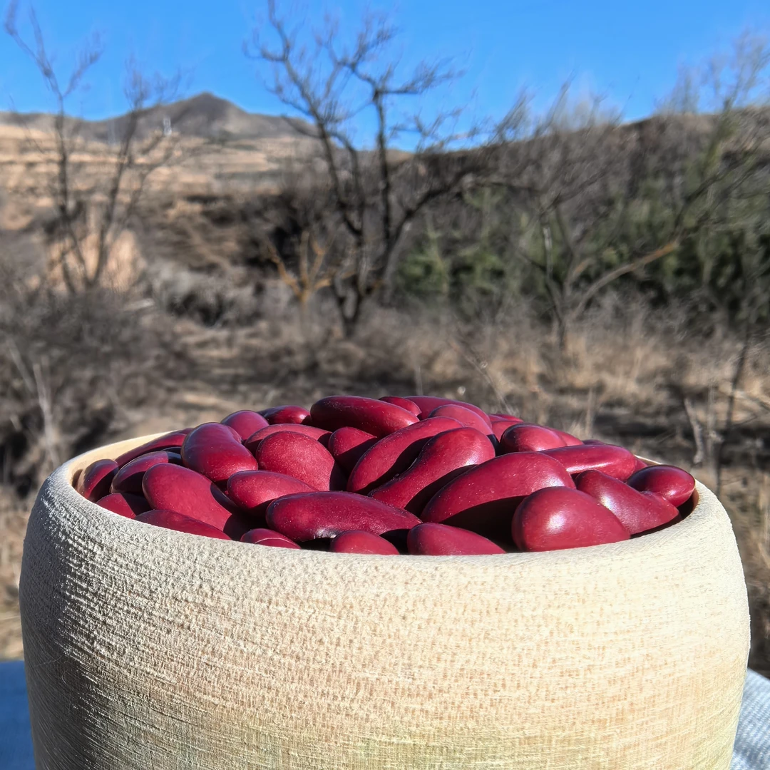 农家自种大颗粒红豆可煲汤豆沙馅