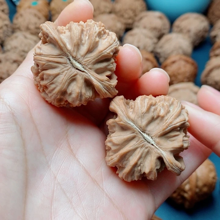 文玩核桃把件白狮子40全品