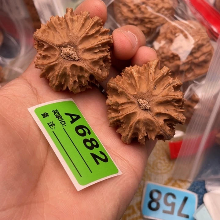把件文玩核桃核桃