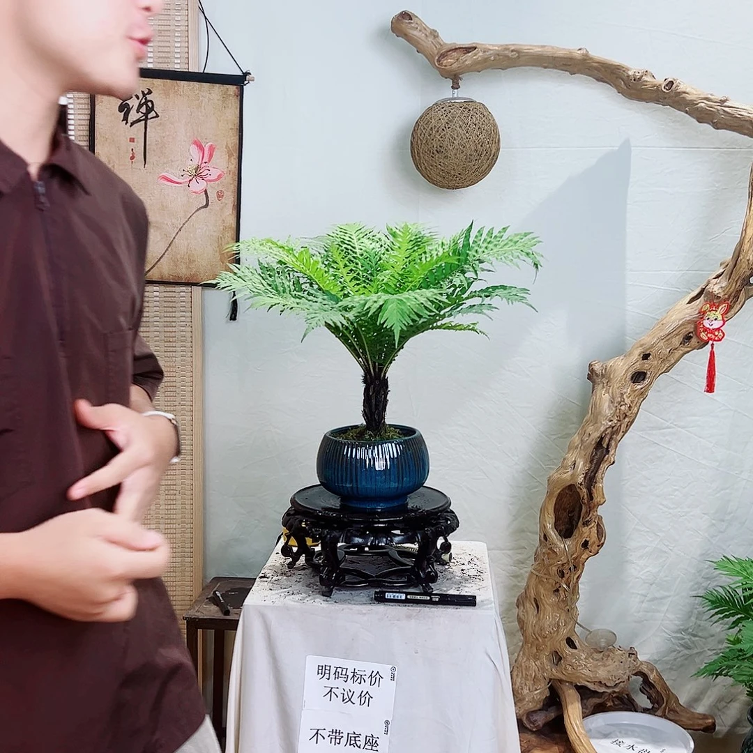 Q***M无花朵鱼鱼鱼鱼鱼鱼