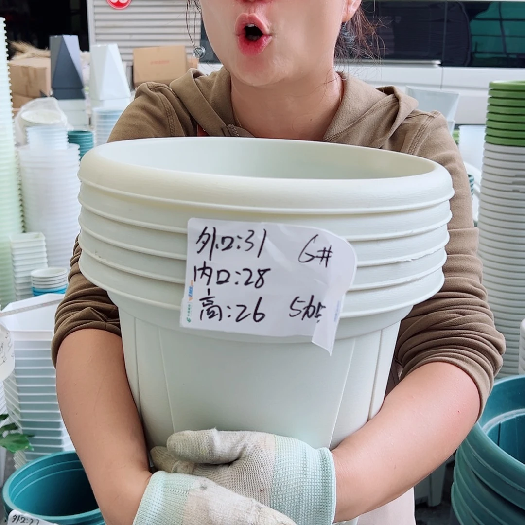 青山盆6#米白色5个无托