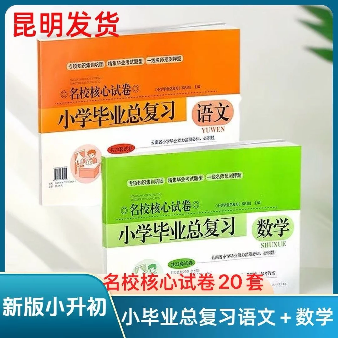 云南小学毕业总复习能力监测必刷题语文数学一线名师名校核心试卷