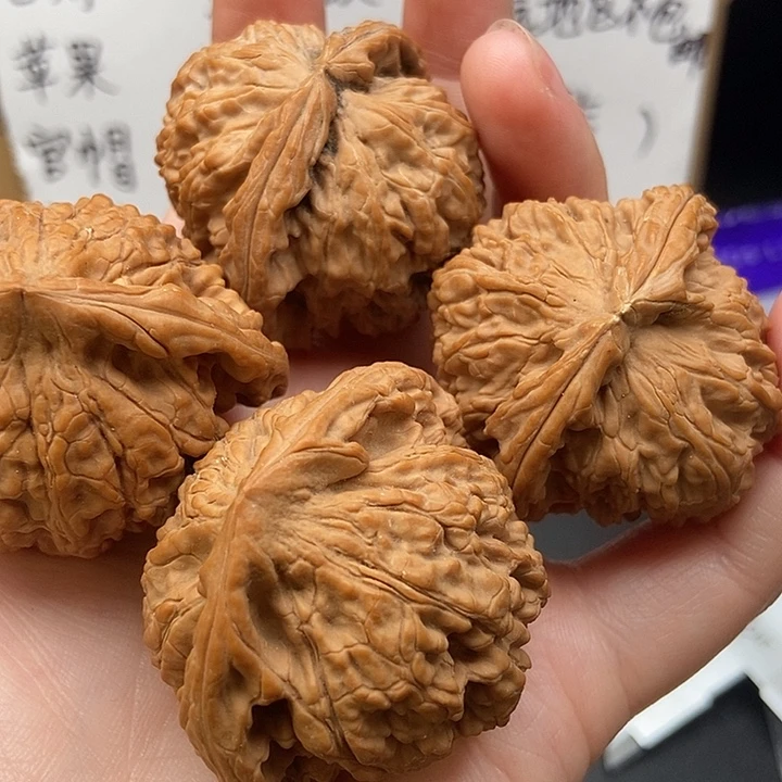 杨***哥大大大大大官帽狮子黄