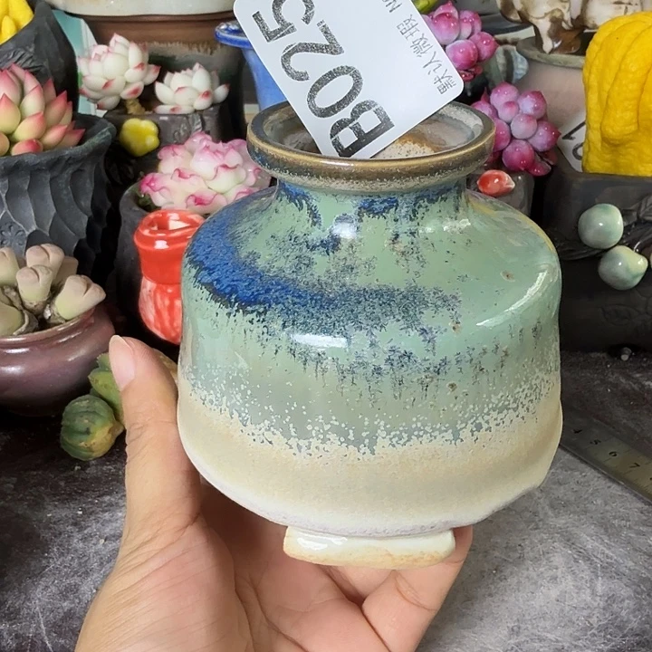 重庆小燕子欢迎大家025