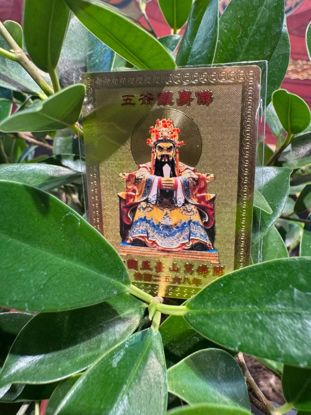 五爷小金卡可以放手机壳、钱包