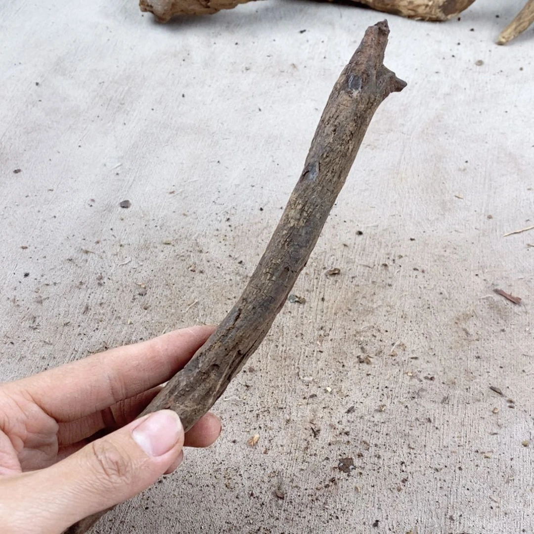 黄花梨/降香黄檀陌*