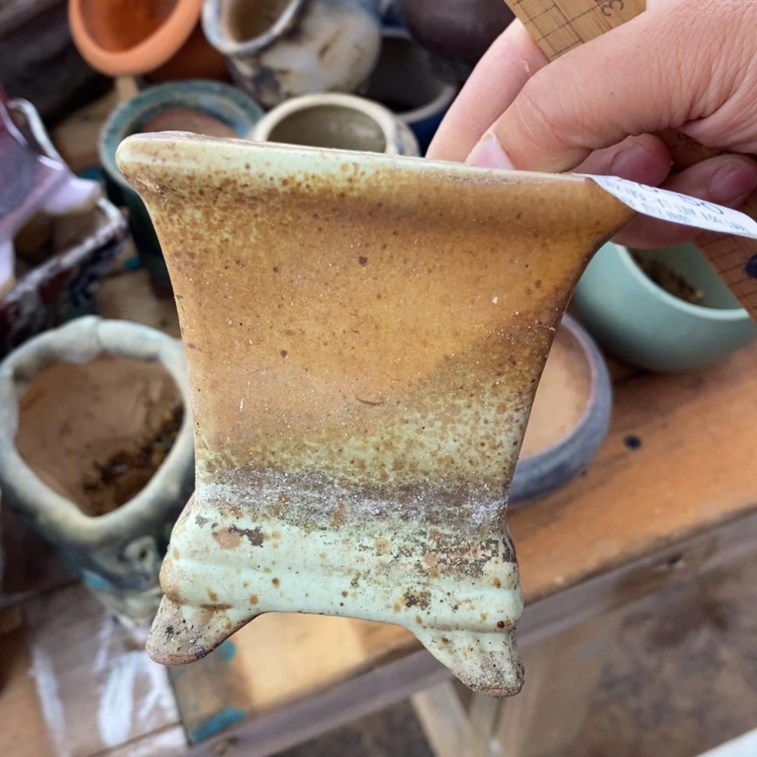 50号多肉盆口径7