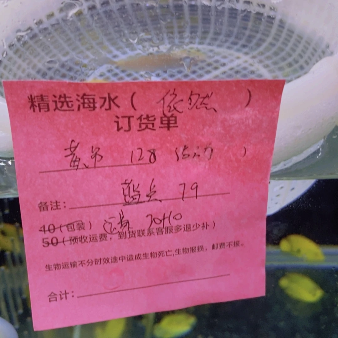 海水鱼黄吊128+蓝点79➕运费30