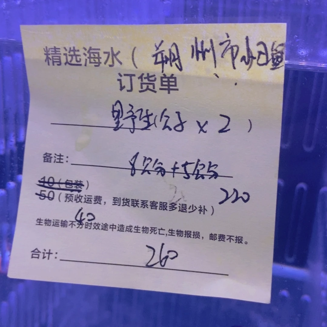 海水鱼野生公子2➕运费预收40，多退少补