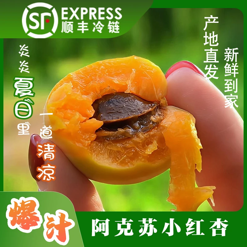 新疆新鲜小红杏当季水果香甜多汁现摘直发小白杏包邮