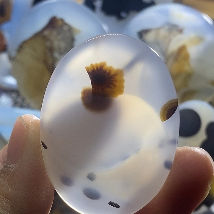 未镶嵌颈饰玛瑙/玉髓梦**裳