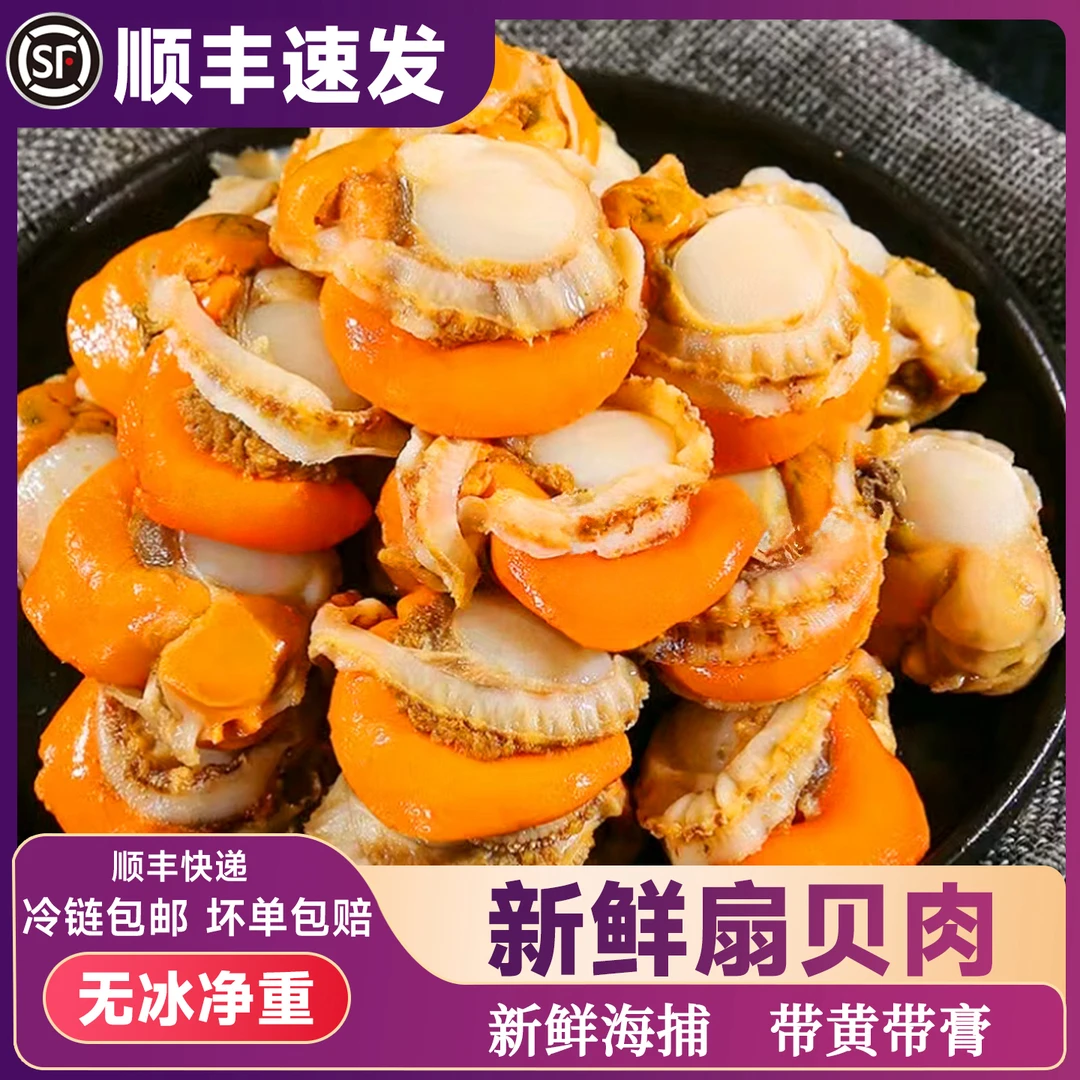新鲜大个带黄带膏扇贝肉速冻大个2040规格无泥无沙海鲜食材