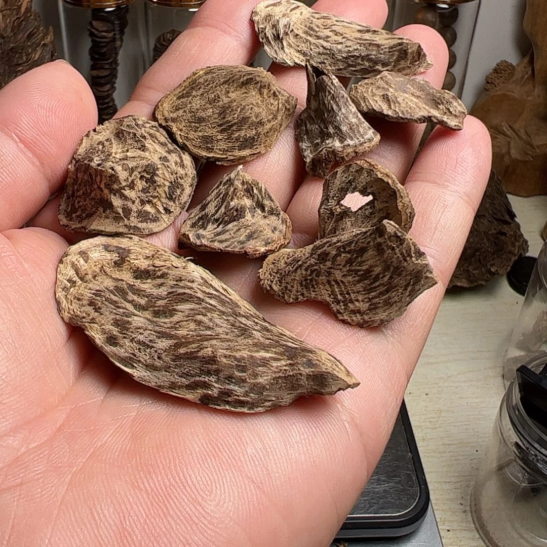 沉香沉香碎屑斯里兰卡沉水料7克