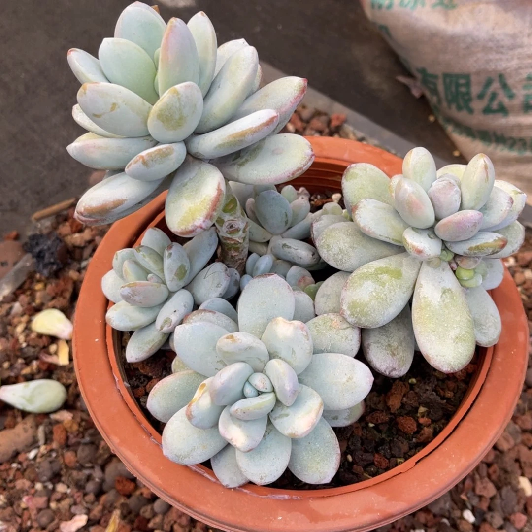 u****n3737383838838383