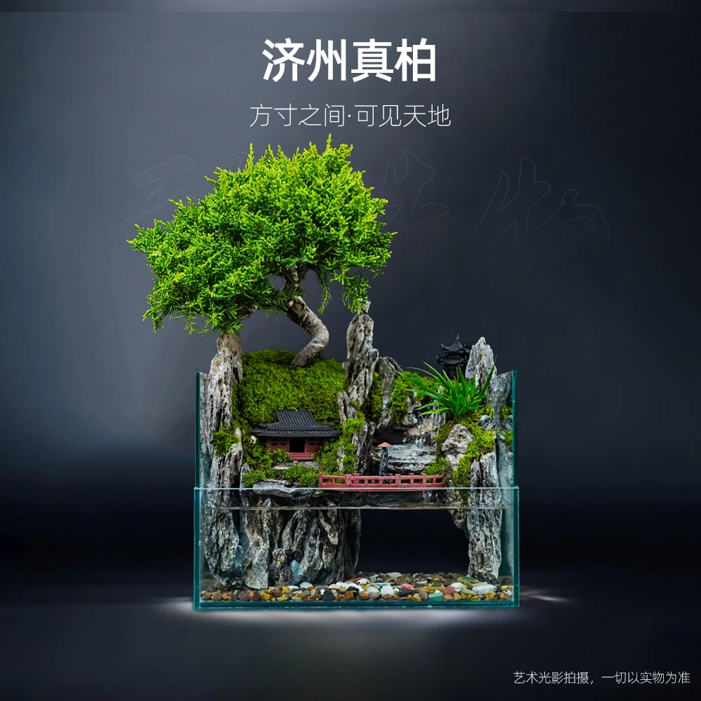 【雾隐】烟雨人间—济州真柏桌面山水缸造景可流水【尺寸：20*14*16】