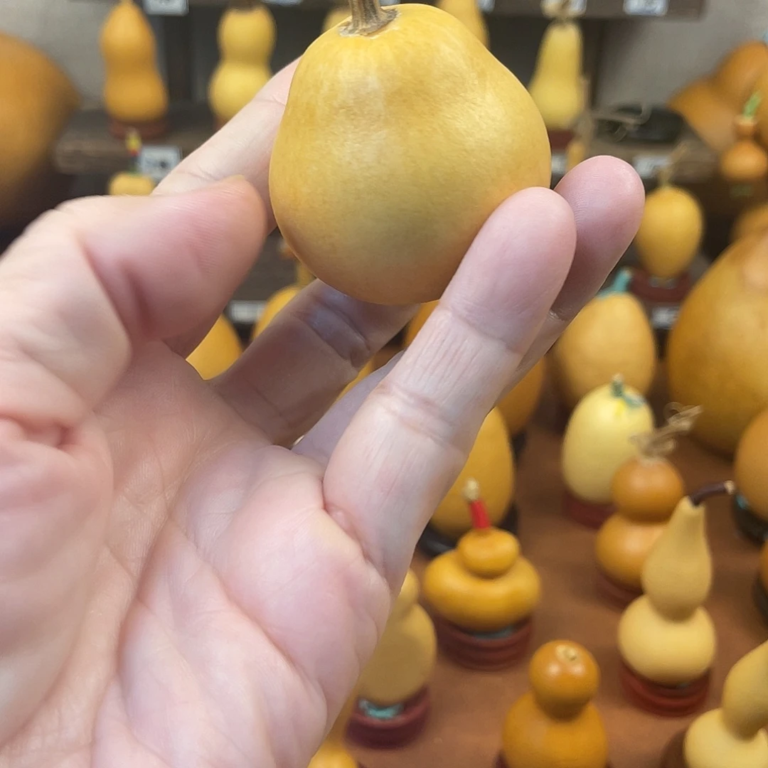 脚***主葫芦哈哈哈哈哈哈哈哈