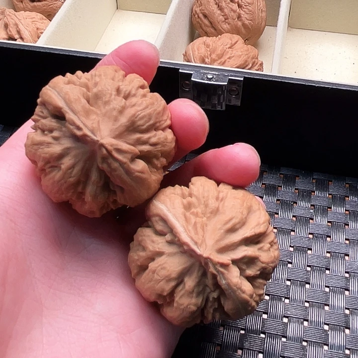 ****࿐霸王龙核桃尺寸41