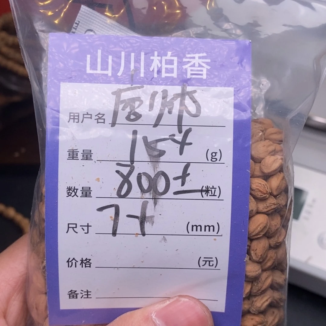 柏香籽/百香籽吊坠?**～