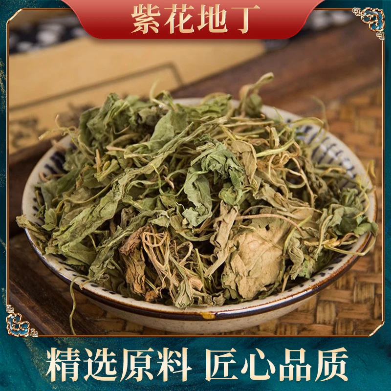 紫花地丁农产品好物天然晒干很少滑头草犁头草250克煮水代茶饮