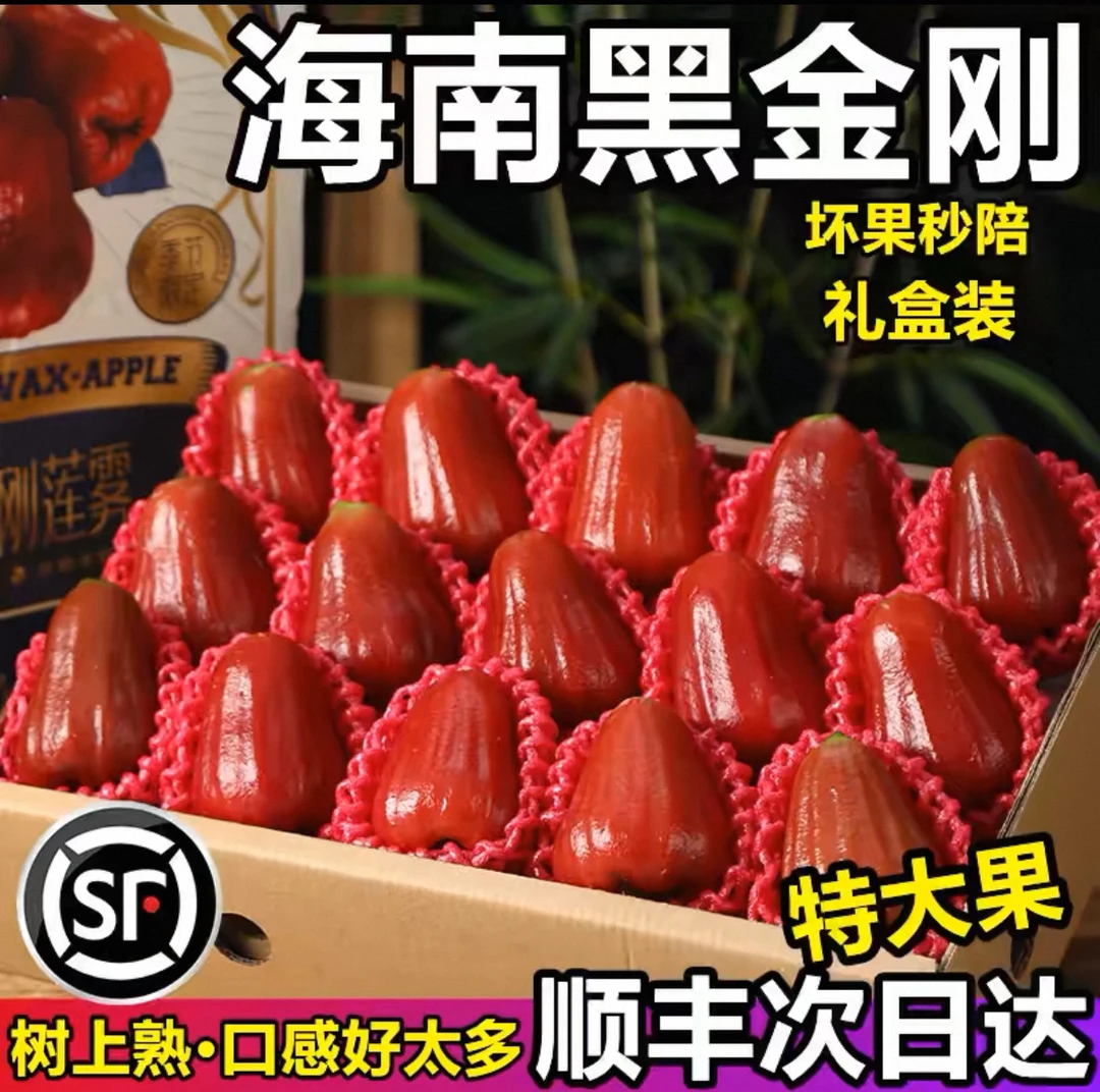 【精品礼盒装】海南黑金刚莲雾当季新鲜水果清甜爽口（顺丰空运包邮）