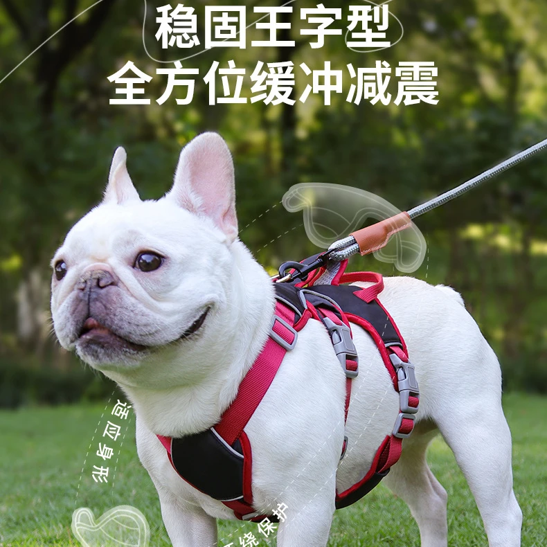 狗狗胸背带中小型狗狗胸背带防挣脱狗狗牵引绳反光防逃脱牵引绳
