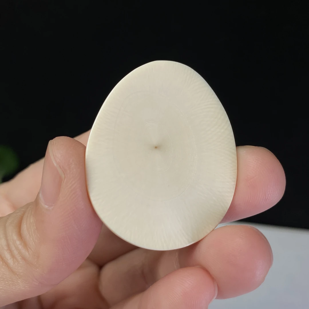 A41无事牌猛犸牙圆牌子保真猛犸牙天然猛犸牙假一罚四薄牌子