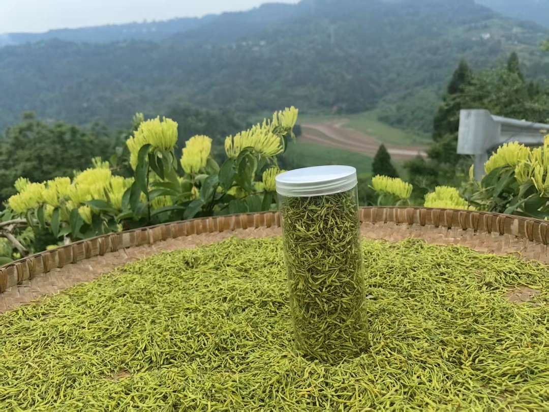 四川广安手工采摘新鲜山银花晒干泡水可用（新货上市）