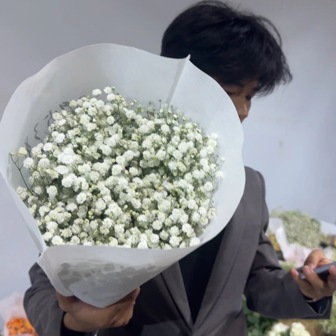 满天星1扎包邮价秒杀