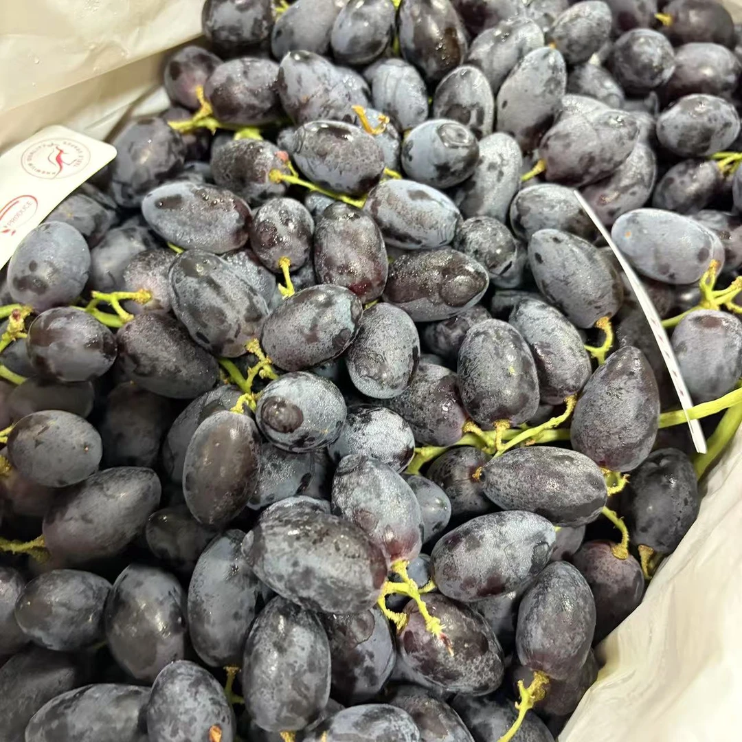 【蓝鲸小掌柜】澳洲甜品无籽黑提一份2斤