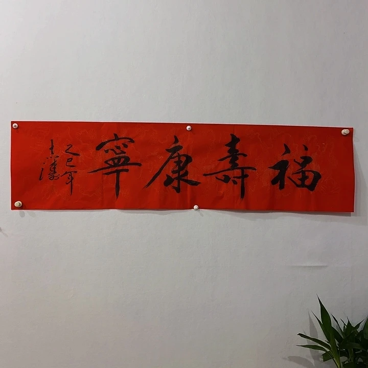 国画宋志涛福寿康宁