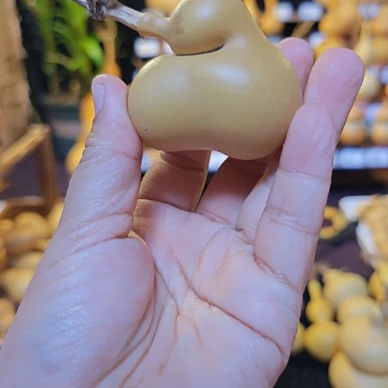 王***宗大叶紫檀（黑酸枝木类）