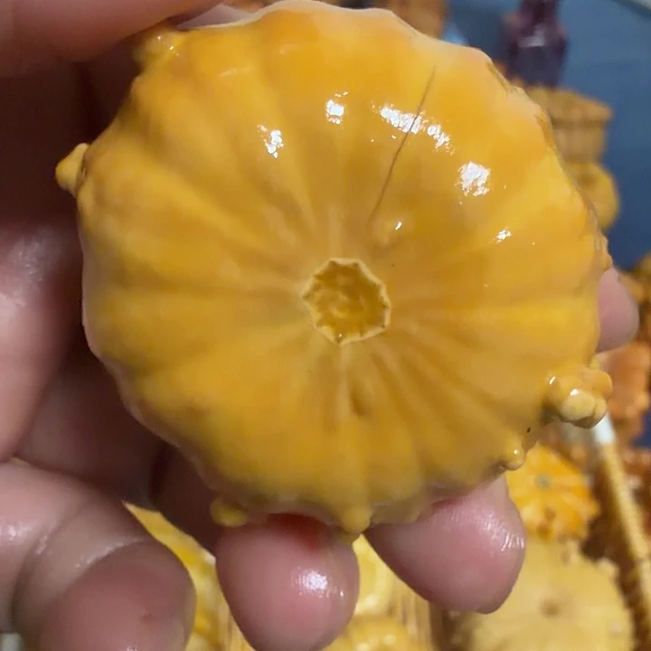 ꧁***꧂墨西哥彩疙瘩葫芦瑕疵不退货