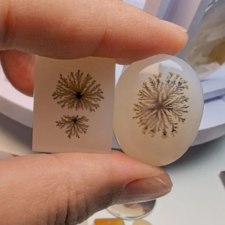 石***歌非金属时尚饰品260