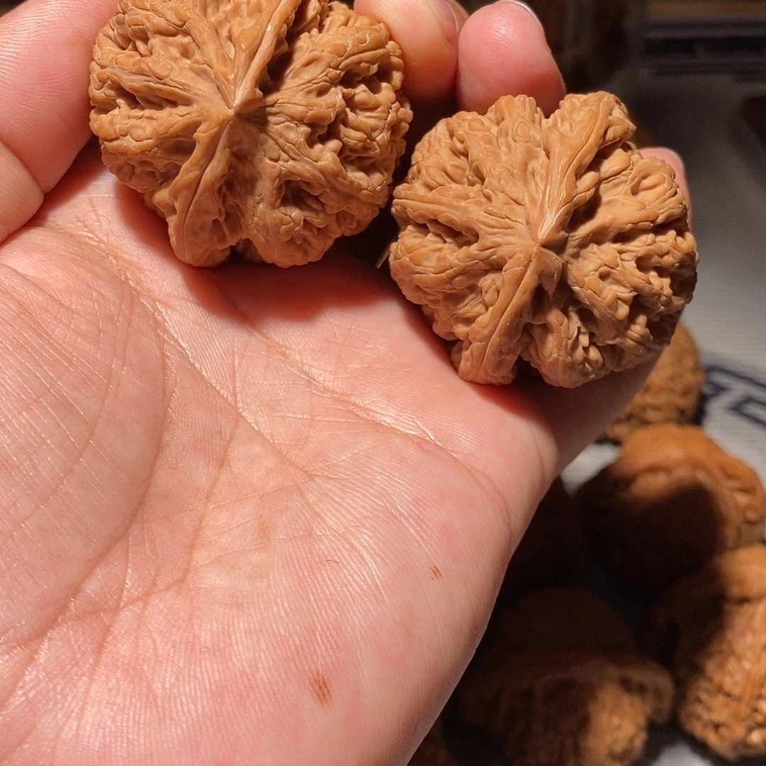 把件文玩核桃009大粗筋44+全品头货对